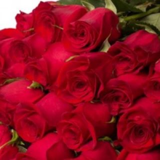 Зі святом весни!