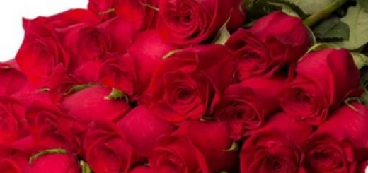 Зі святом весни!