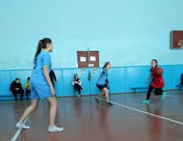 IMG-0870b67c3c69aeacd7ed1514f3039b3f-V-min