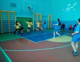 IMG-5197f7f599f24a60bc52c8a4676a232b-V-min