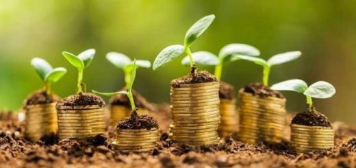 ОНОВЛЕНЕ Й ДІЄВЕ ЗАКОНОДАВСТВО – ЕФЕКТИВНЕ ЗНАРЯДДЯ У БОРОТЬБІ ЗІ ЗЛОЧИННІСТЮ