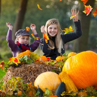 У КИШЕНЯХ БАТЬКІВ-АЛІМЕНТНИКІВ СУМЩИНИ ЗНАЙШЛОСЬ БІЛЬШЕ 140 МІЛЬЙОНІВ ГРИВЕНЬ