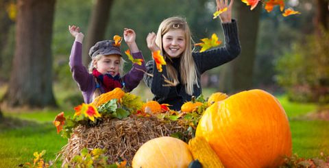 У КИШЕНЯХ БАТЬКІВ-АЛІМЕНТНИКІВ СУМЩИНИ ЗНАЙШЛОСЬ БІЛЬШЕ 140 МІЛЬЙОНІВ ГРИВЕНЬ