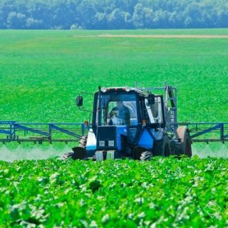 Увага! Оголошення