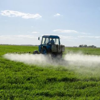 ТОВ "Агрофірма Степ" повідомляє!