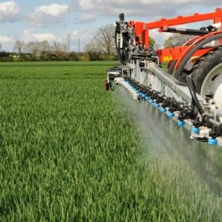 Писарівська дільниця Сумського РУ СТОВ «Дружба-Нова», Повідомляє про продовженя внесення грунтового гербіциду