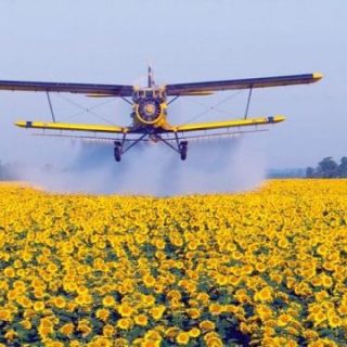 До уваги бджільників!